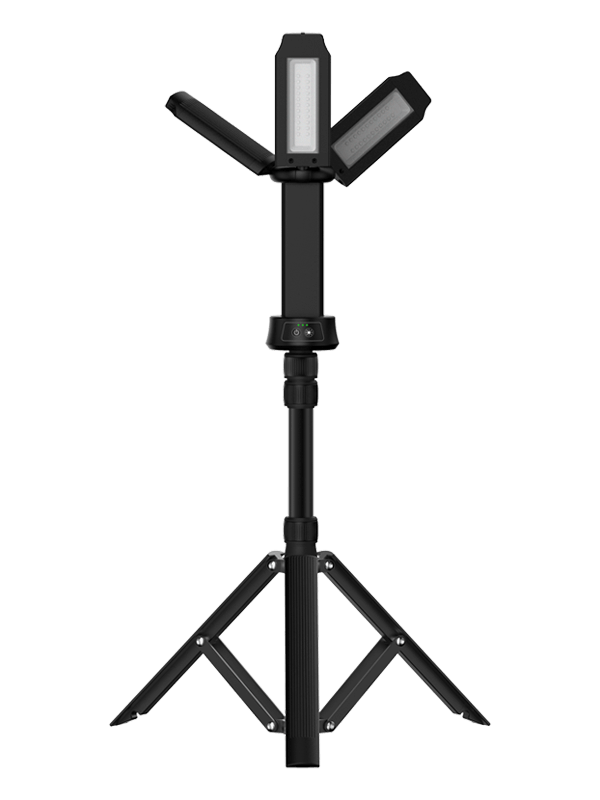 W1